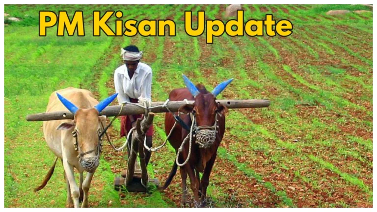 PM Kisan Yojana Update – 19th Installment likely to be released on this Date!