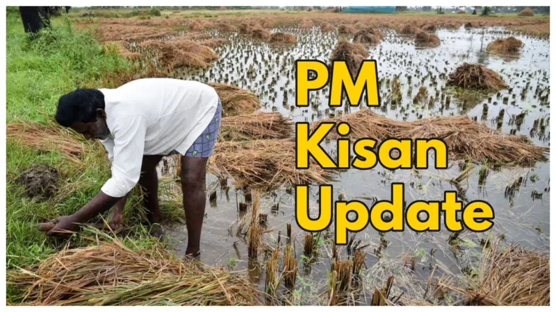 Pm Kisan
