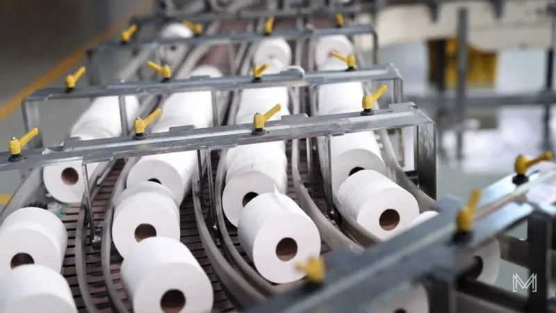 Tissue Paper Business