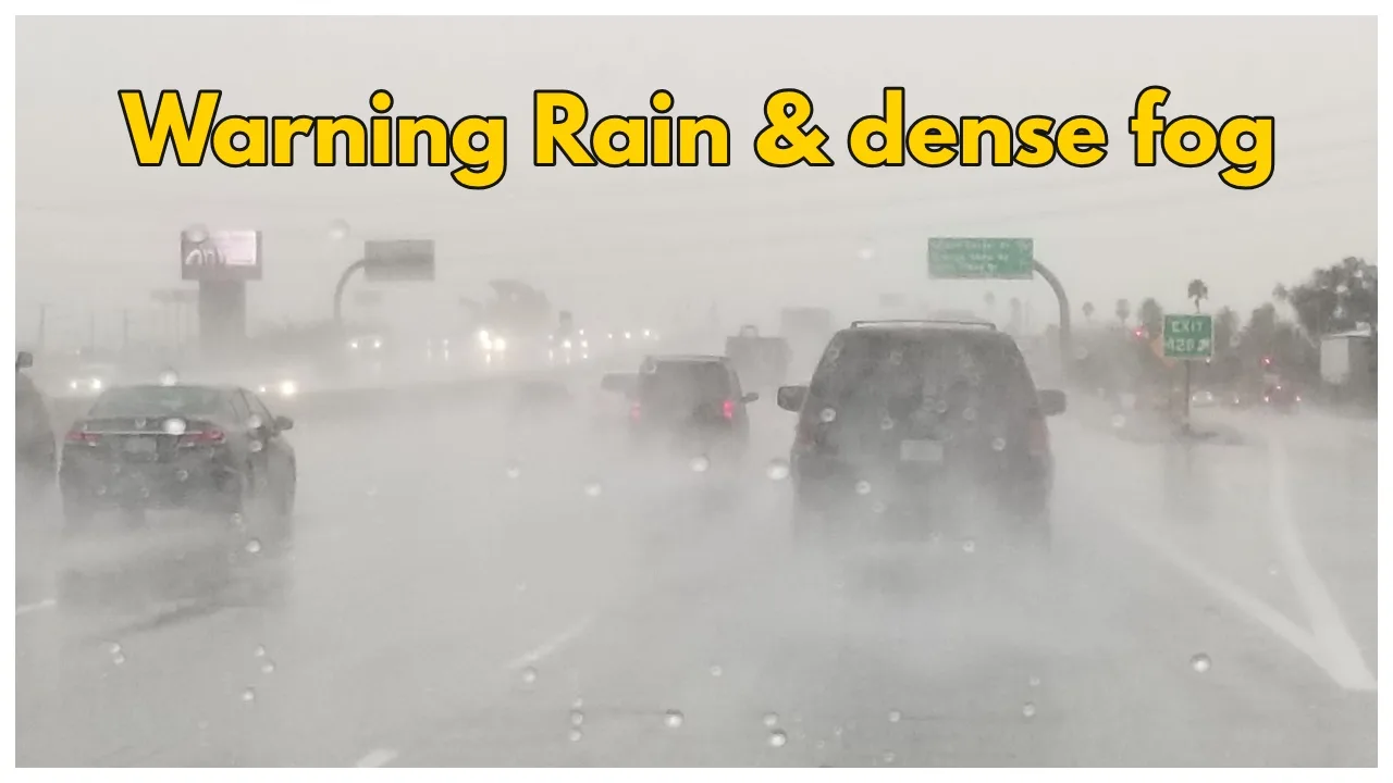 Weather Forecast – Meteorological