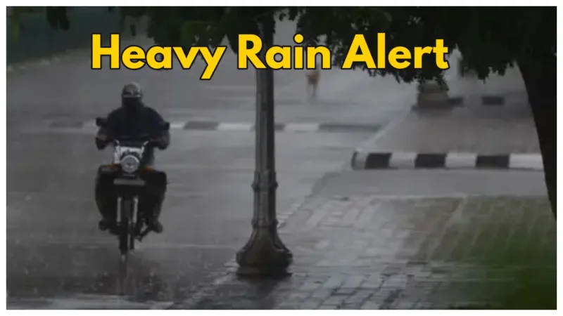 Weather