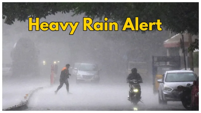 Weather