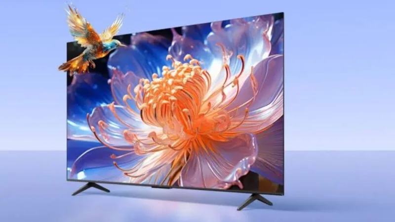 55 Inch Smart Tv