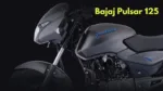 Bajaj Pulsar 125 2 (3)