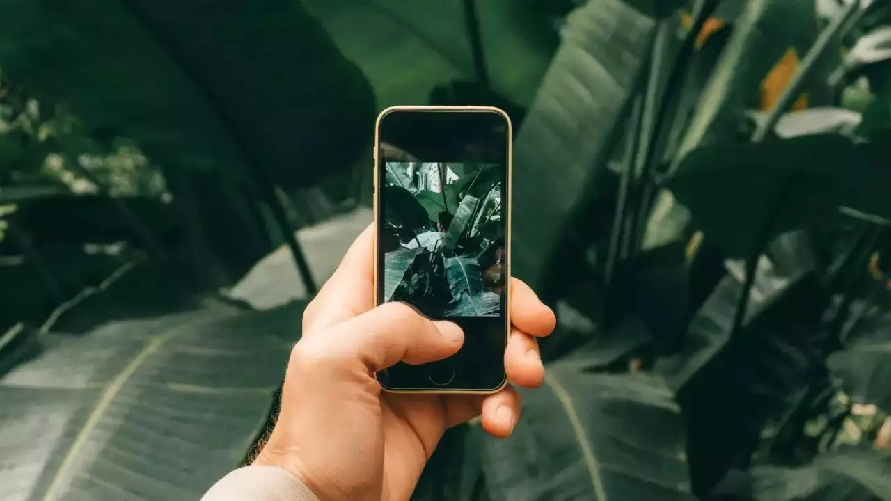 Best camera phones under 10000...