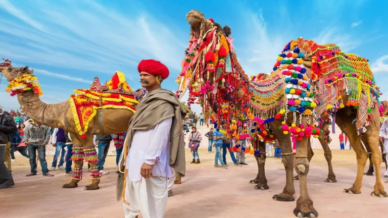 Sarkari Yojana: Aid increased to Rs 20,000! An unique initiative by state government