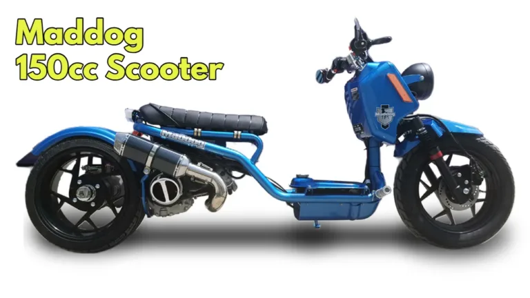 Maddog 150cc Scooter: Unleash Your Creativity with Endless Customization