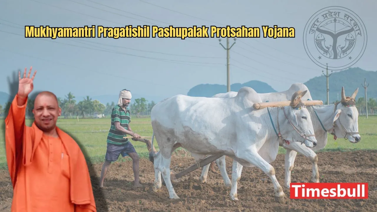 Mukhyamantri Pragatishil Pashupalak Protsahan Yojana:...