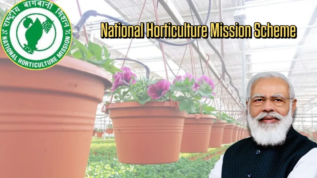 National Horticulture Mission Scheme: Farmers Can Avail Benefits, Know the Application Process