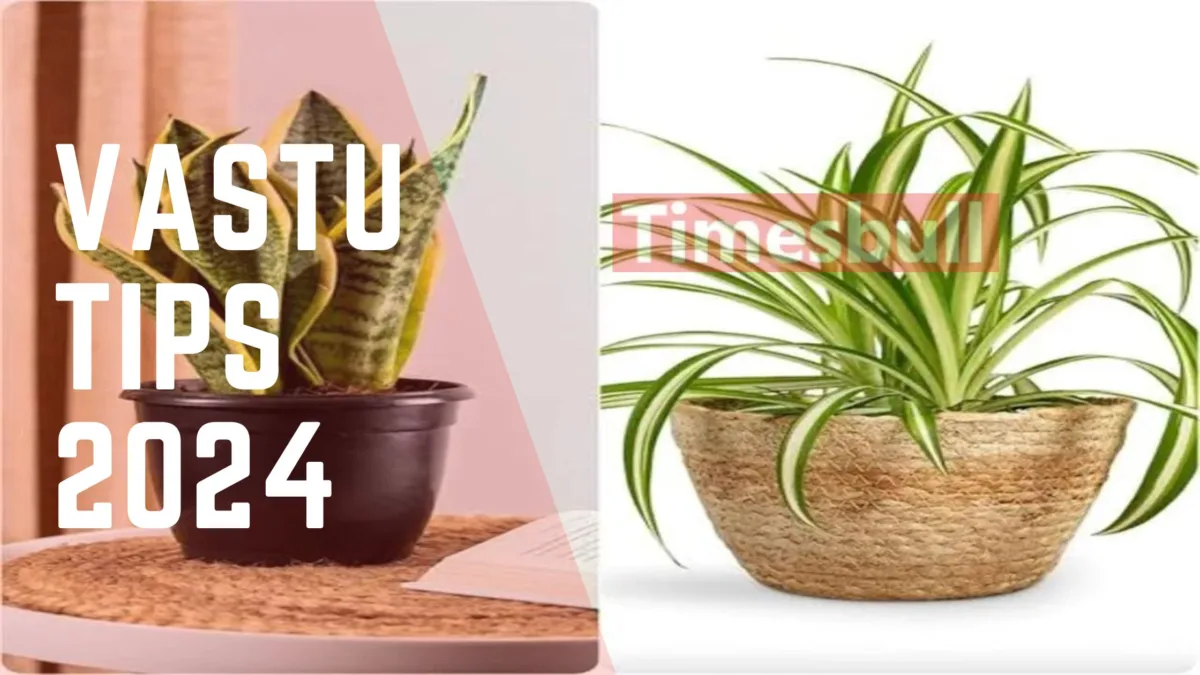 Vastu Tips (10)
