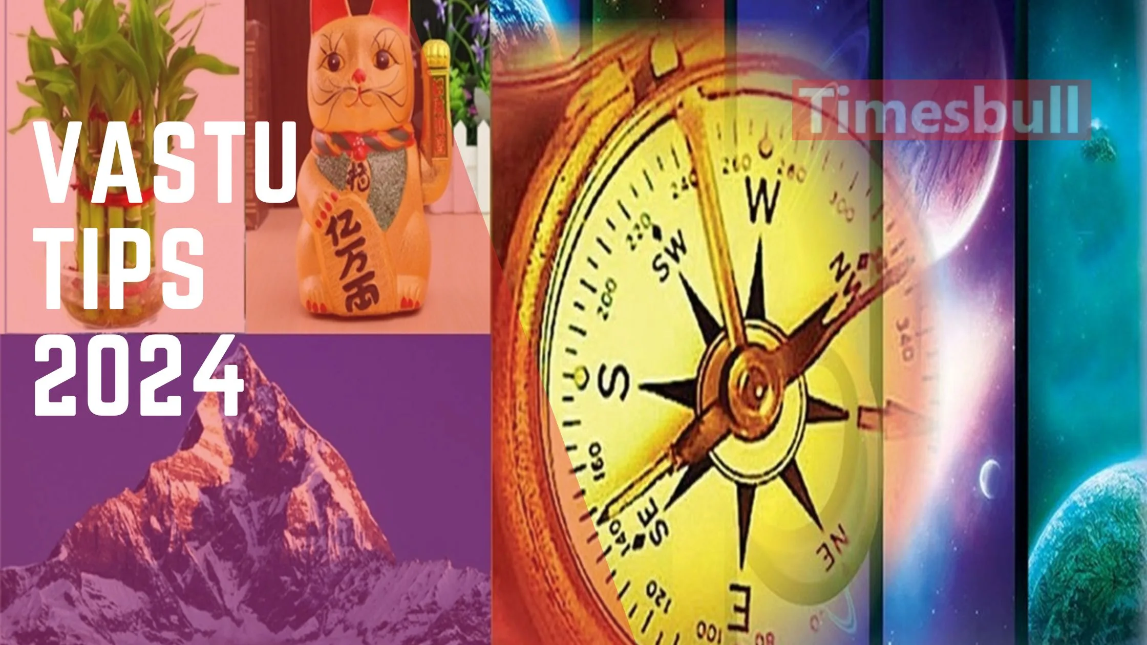 Vastu Tips 2024:Try these