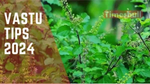 Vastu Tips 2024:Tie this holy thing on the door of your house, your safe will be full of money