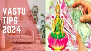 Vastu Tips 2024: According to Vastu, never keep these things with money, your earnings will stop