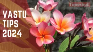 Vastu Tips 2024: If you are not getting success even after working hard, then follow these Vastu remedies