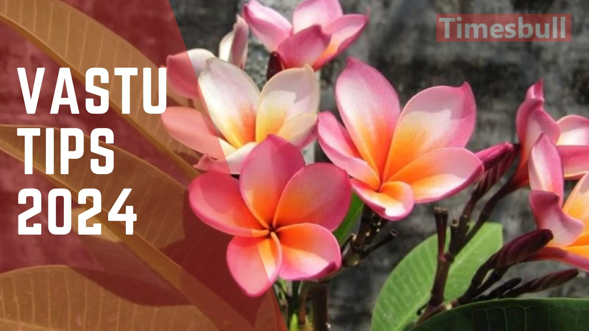 Vastu Tips 2024: If