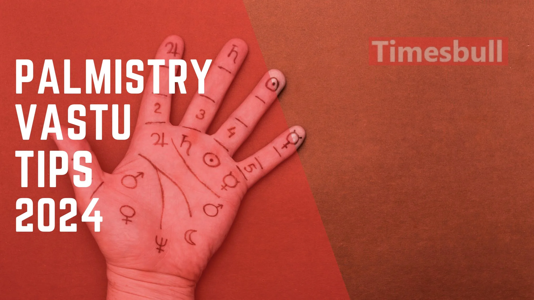 Palmistry: The shape of