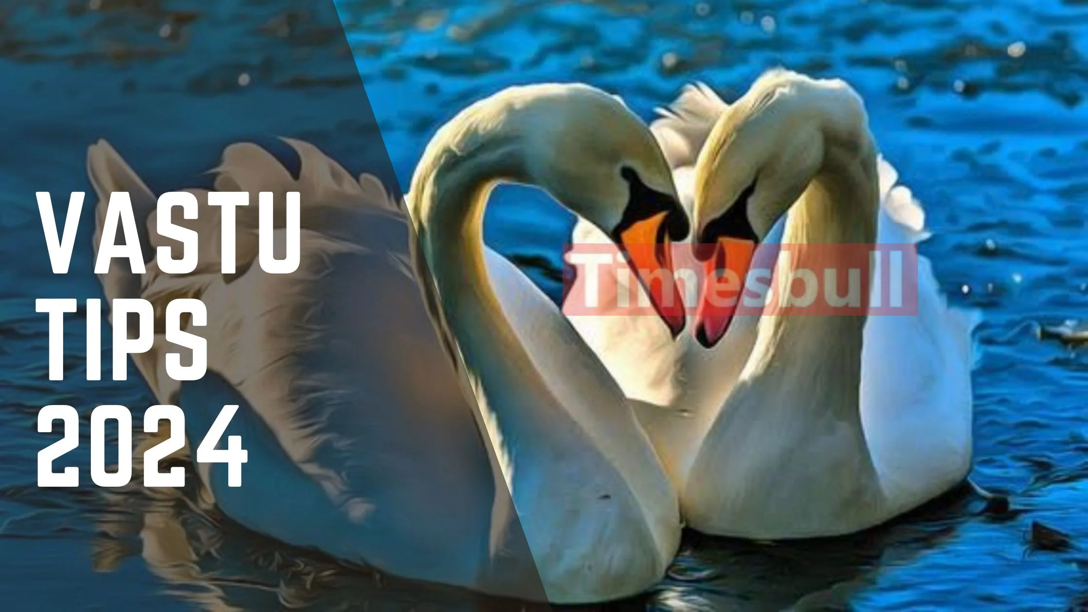 Vastu Tips: If you