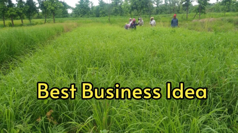 Business Idea