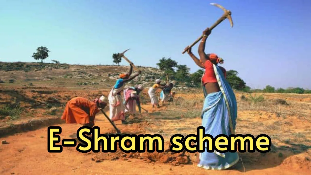 E Shram Card- Government