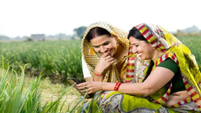 What is PM Solar Chulha Yojana? Modi government is giving free solar stove to women