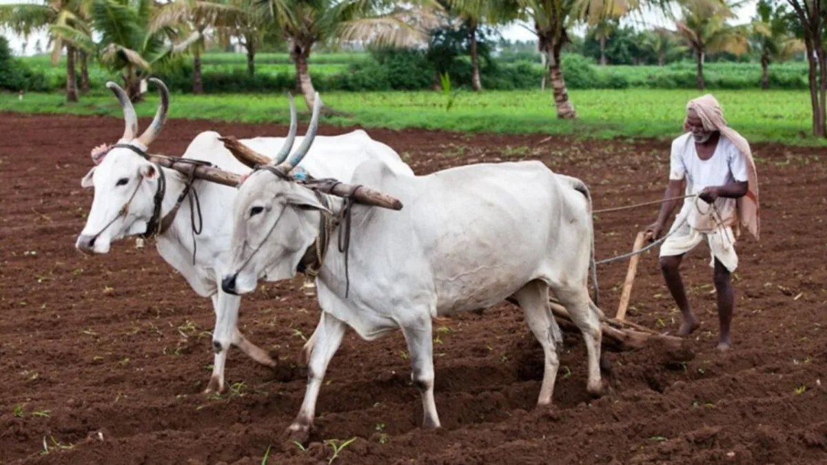 Kisan Yojna H