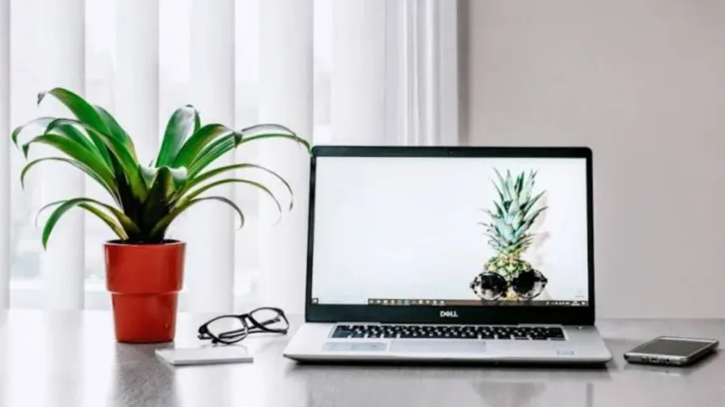 Laptops