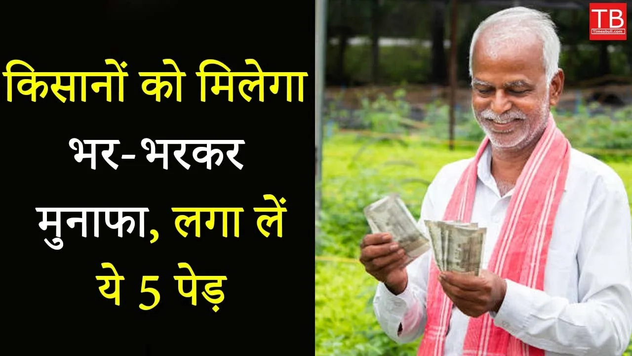 Top 5 High-profit Trees: Let’s...