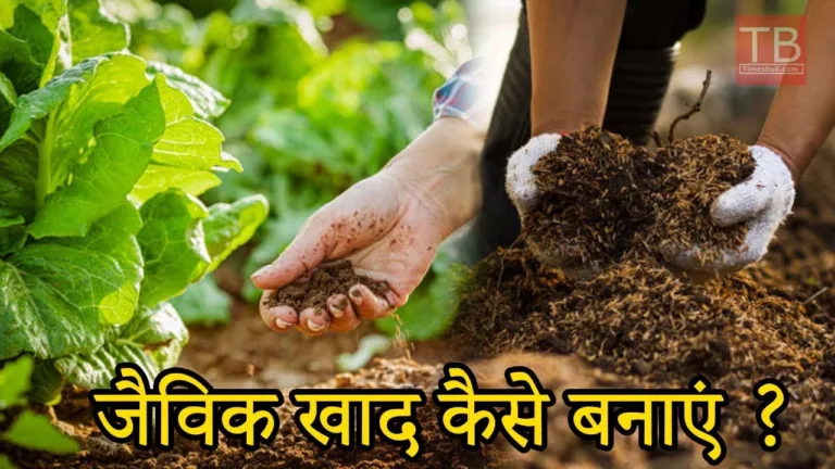 How to make organic fertilizer at home: Watch this video for complete information