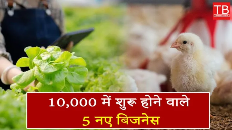 Top 5 profitable village business ideas start under 10,000 in 2025: Know full details in one click