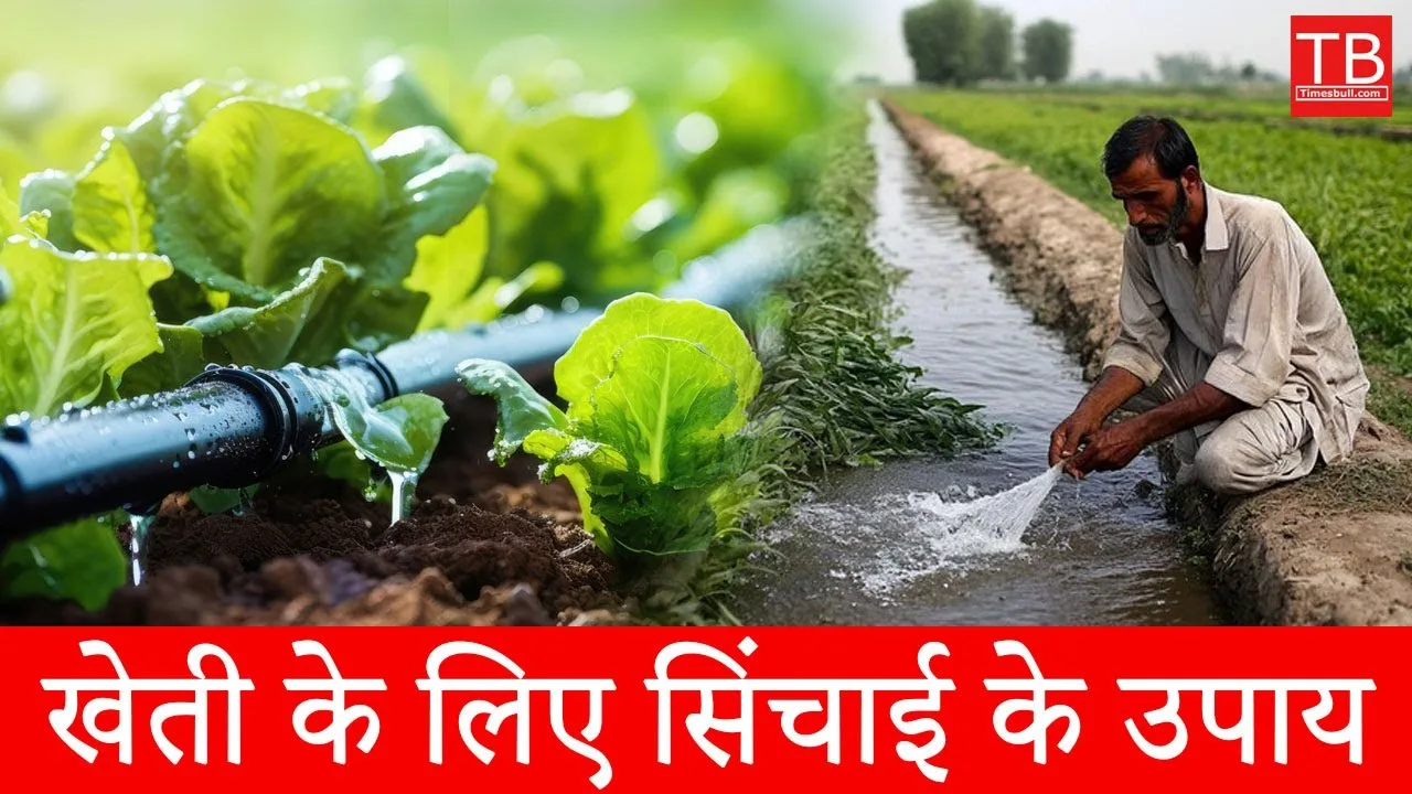 Irrigation measures for farming: Know...