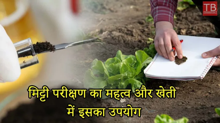 If you do farming then know why soil testing is necessary