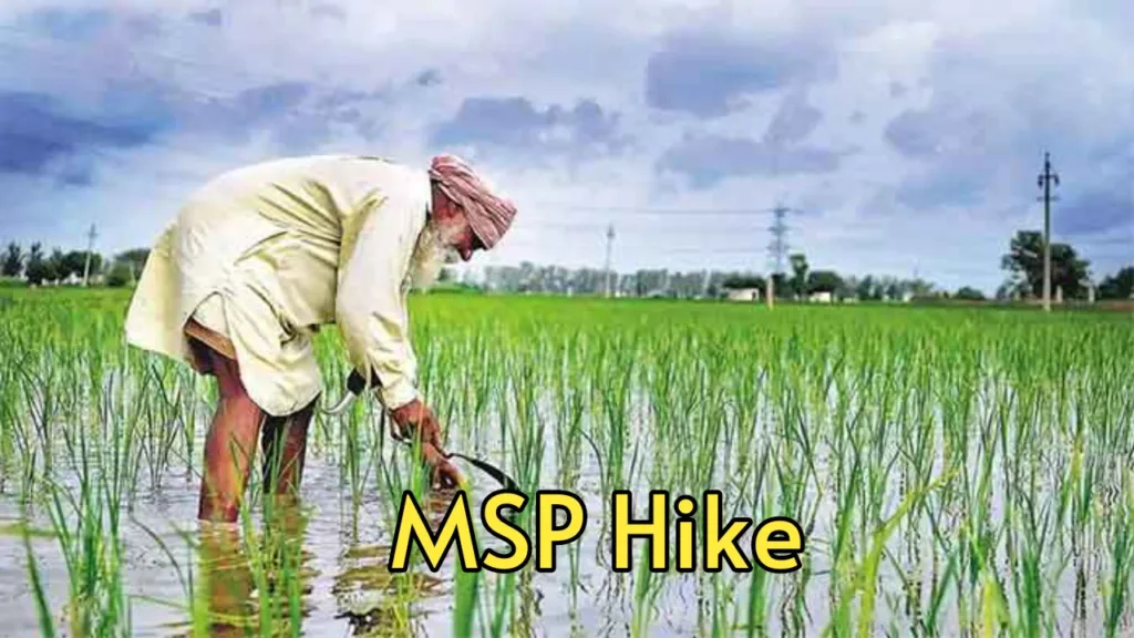 New Year’s gift to farmers, govt increases MSP of copra for 2025 season