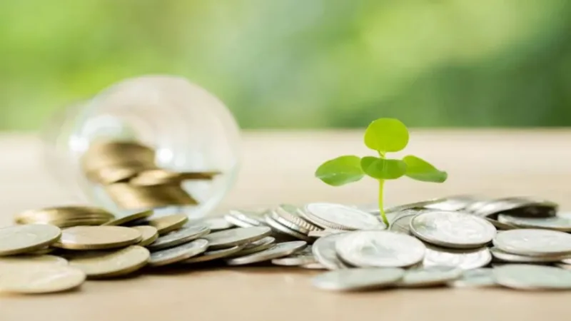 Mutual Funds