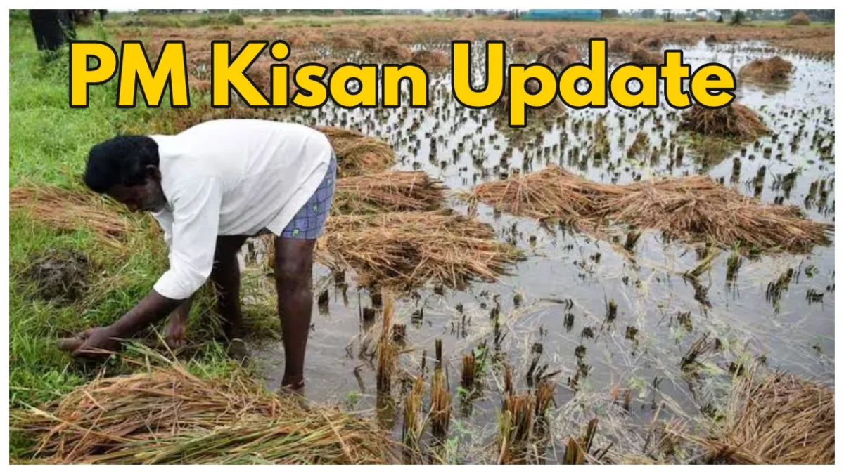 Pm Kisan