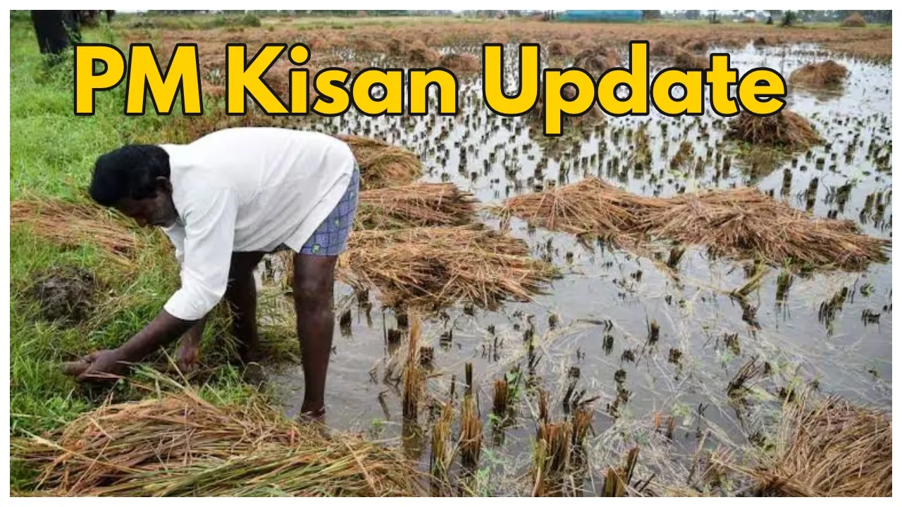 PM Kisan Samman: These