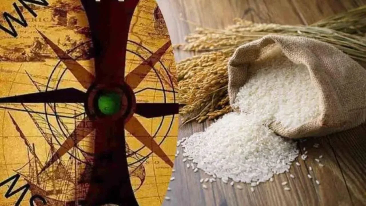 Vastu Tips: According to