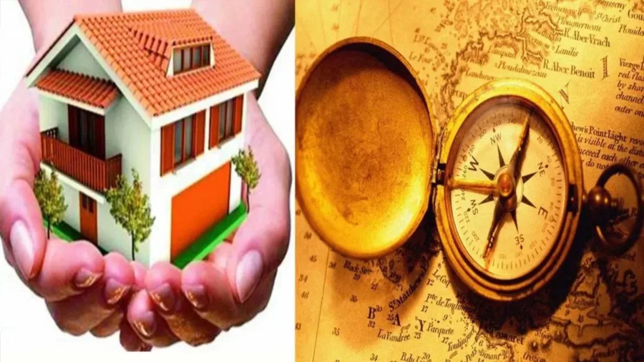 Vastu Tips: A person