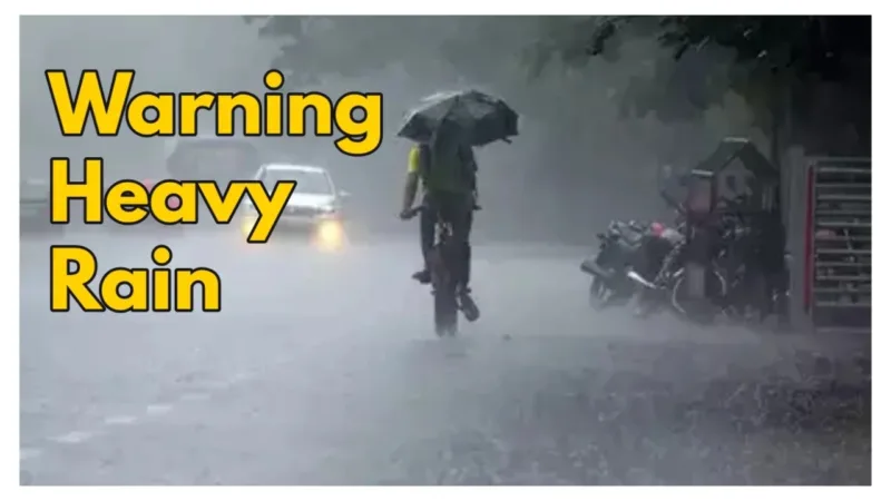 Weather