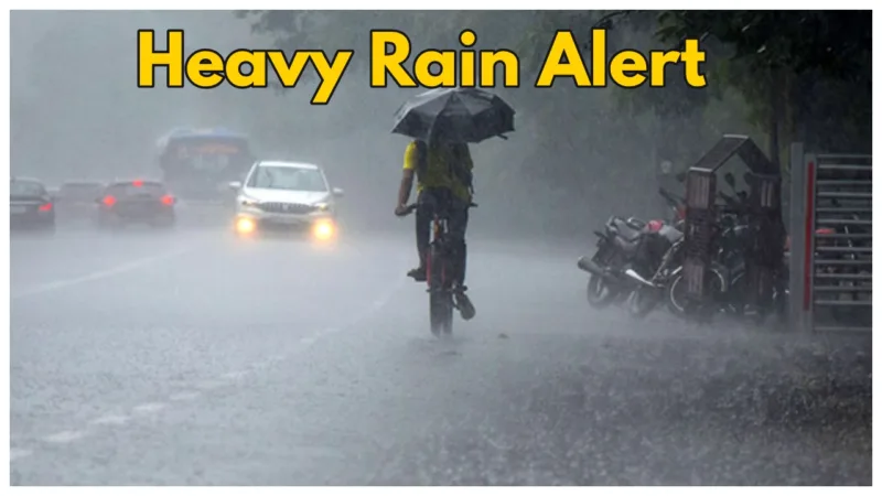 Weather