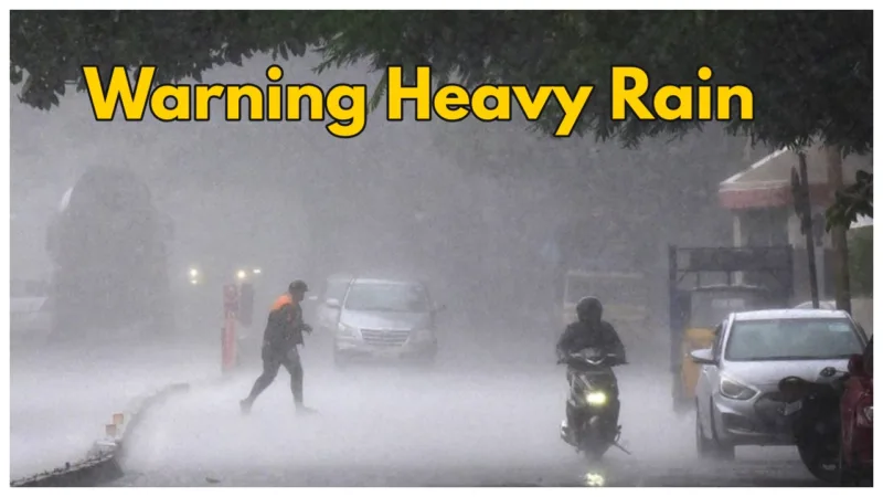 Weather