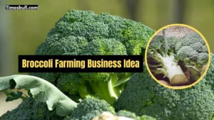 Broccoli Farming Business Idea