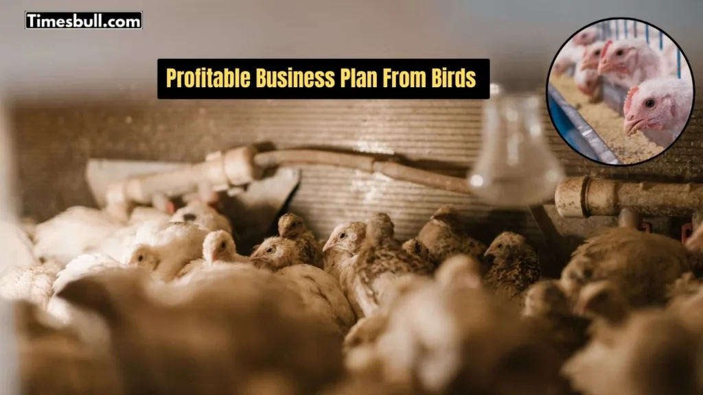 Business Idea: Raise These 3 Birds with Zero Cost and Effort, Earn More Than Hens—Details Inside