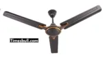 Ceiling fans