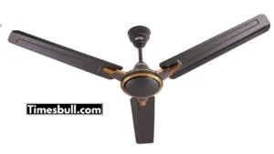 Ceiling Fans