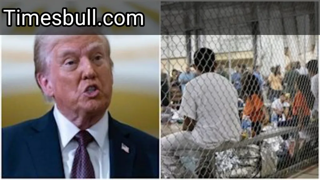 Indian government to work with Donald Trump administration? Action can take against 18,000 Indian immigrants