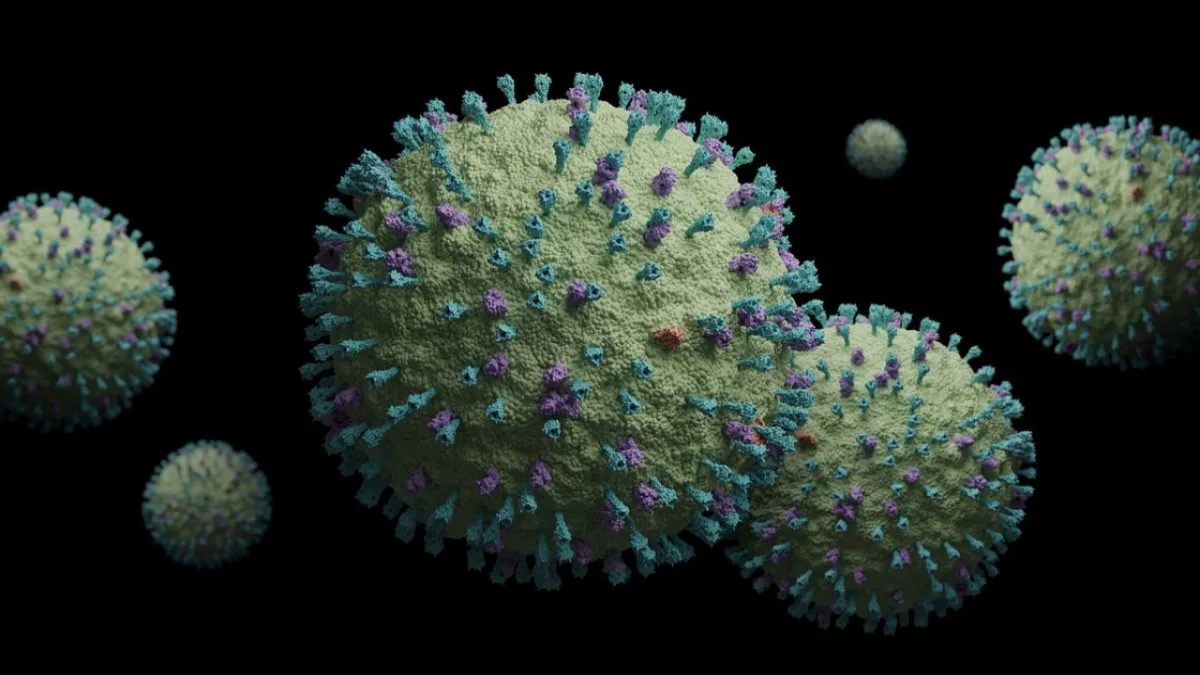 Hmpv Virus