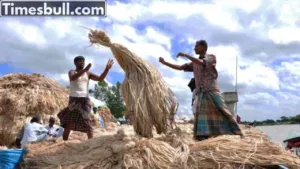 Jute Farmers