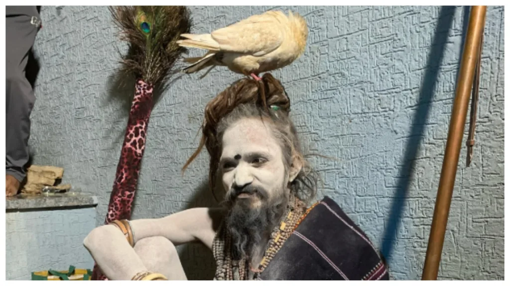Mahakumbh 2025 – Meet ‘Kabootar Wale Baba’ Carrying A Pigeon On Her Head For 9 Years