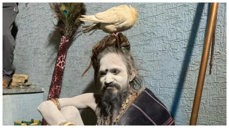 Kabootar Wale Baba