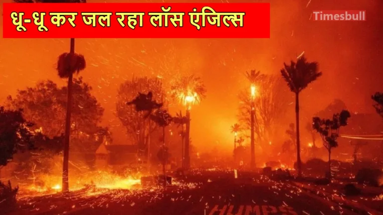 Massive Fire in Los Angeles: 24 Died, Loss Estimated at Rs 12 Lakh Crore